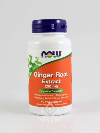 Ginger Root Extract (Korzeń imbiru ekstrakt) 250 mg 90 kapsułek weg.