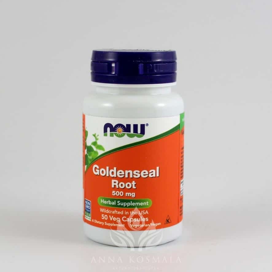 Goldenseal Root- gorzknik kanadyjski 500mg 50 kapsułek Now 1