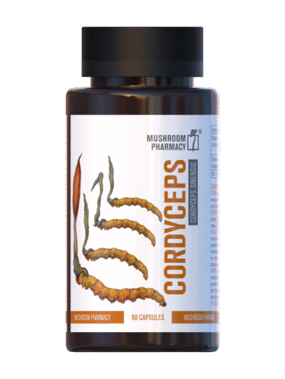 Kordyceps Ekstrakt 8:1 60 kaps.