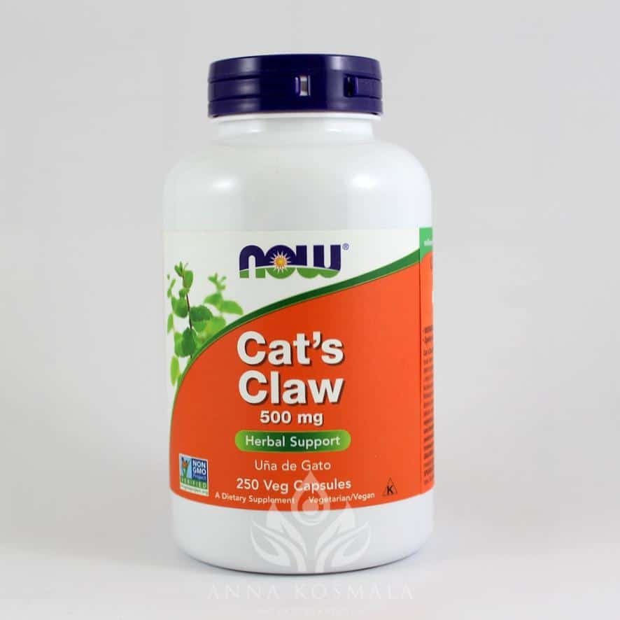Cat's Claw -koci pazur 500mg 250 kapsułek Now 1 Cat’s Claw (Koci Pazur) 500 mg 250 kapsułek