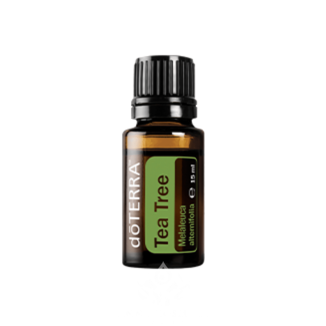Dottera Olejki Anna Kosmala ziola zycia (4) doTERRA Olejek eteryczny TEA TREE (Drzewo Herbaciane) 15 ml