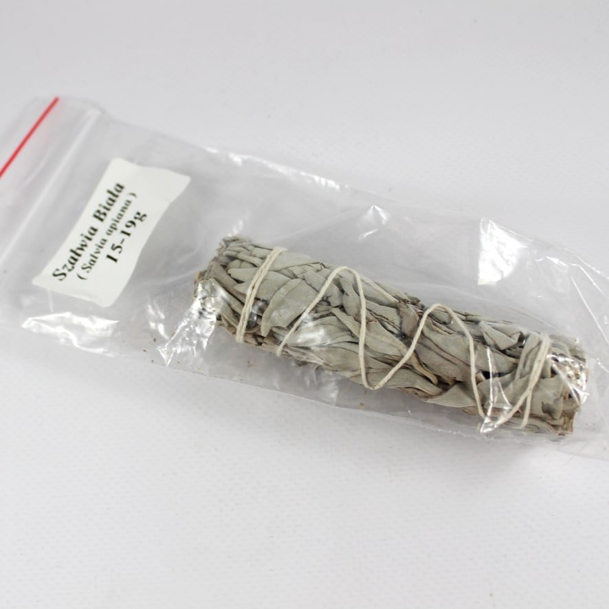 Szalwia biała 15-19g Szałwia biała 31-39g (pęczek)