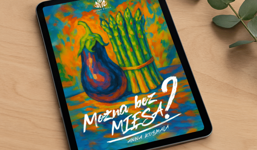 okładka mieso E-Book Można bez Mięsa?