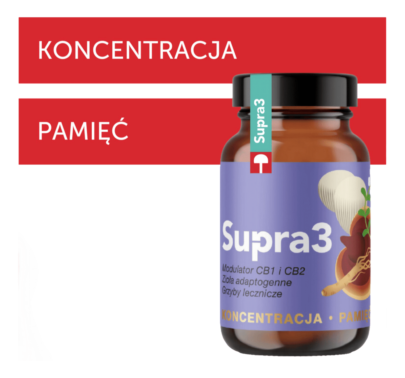 supra 3 koncentracja Supra3 Koncentracja-Pamięć 150G