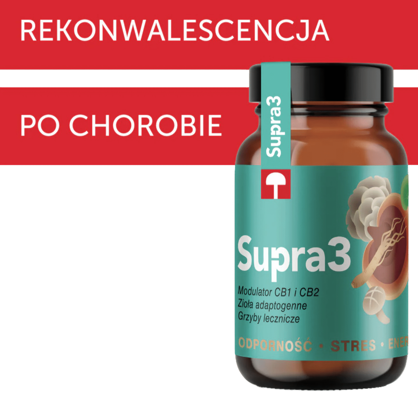 supra 3 odporność Supra3 Odporność Stres Energia 150 gramów