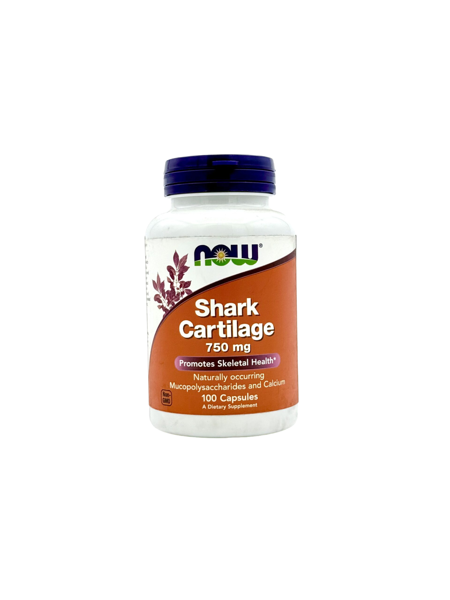 IMG_0112 Shark Cartilage 750 mg